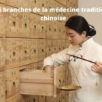 les 5 branches de la médecine traditionnelle chinoise - mtc