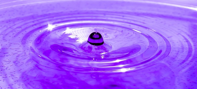 2-meditation-fleur-zen-violet